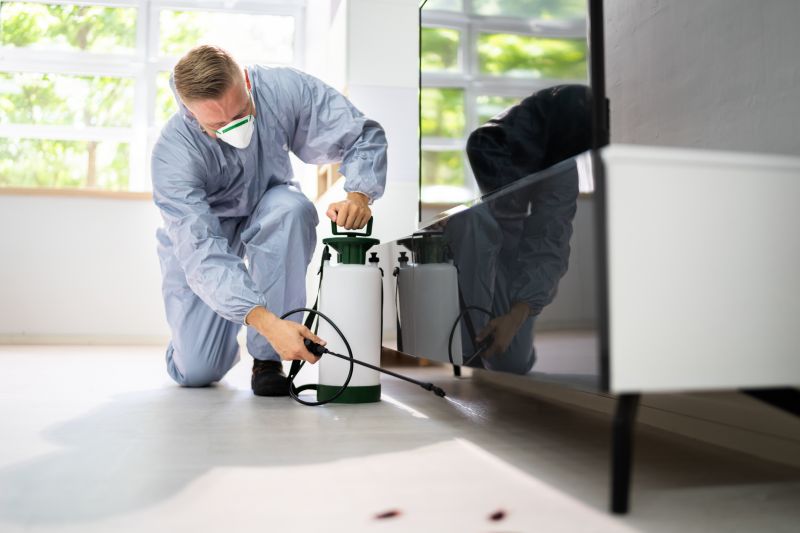 Spider Extermination Service
